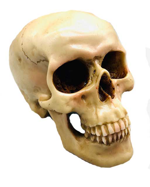 5" Grinning Skull - Click Image to Close